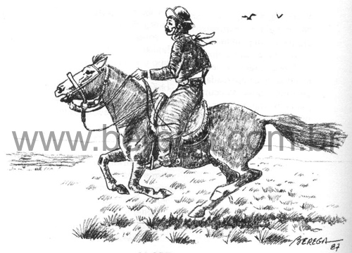 Livro Dicionário Gaúcho do Cavalo - 1987 - pg 86