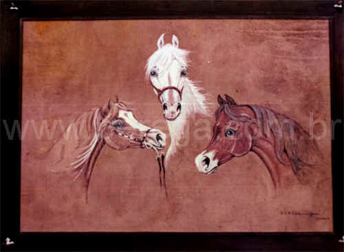 cabeças de cavalo árabe - 1976