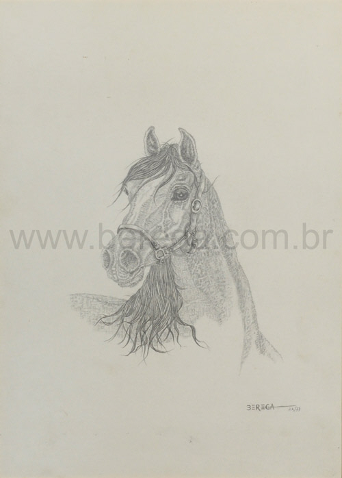 Cavalos árabes - grafite sobre papel - 1977
