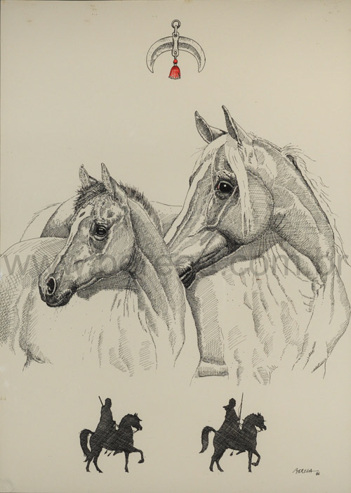 Égua e Potro árabes em Bico de Pena - 1996