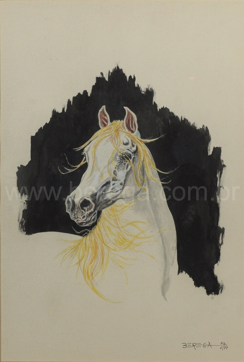 Cavalos Árabes - tordilho em 3/4 gouache - 1977