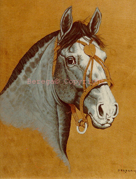 cavalo crioulo DESGARRADO - 1981