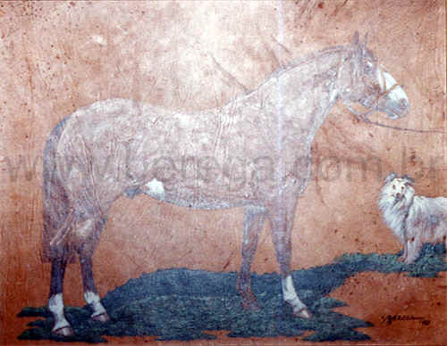 Cavalo Crioulo com Cachorro Collie