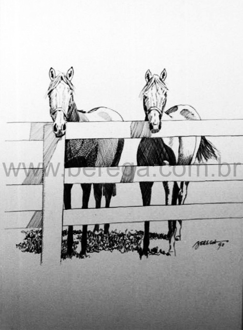 cavalos junto ?cerca em nankin - 1993