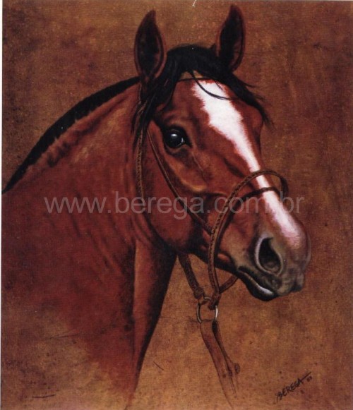 Cavalo Crioulo Colorado Malacara - Calendário Fertisul 1984