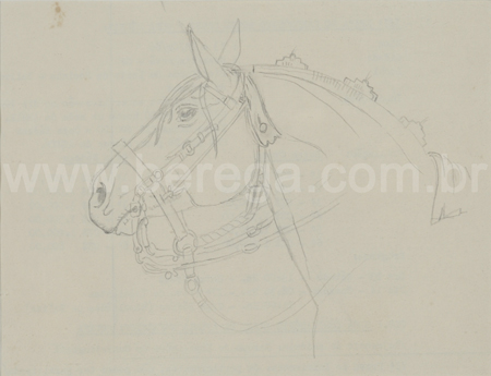 Desenho crioulo: cavalo crioulo para reboques