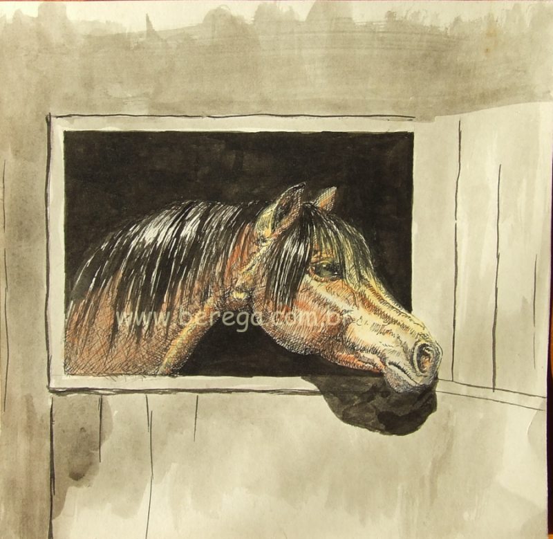 Berega Website Oficial - Obras do Autor - Desenhos e Esboços - Gaúchos e  Cavalos
