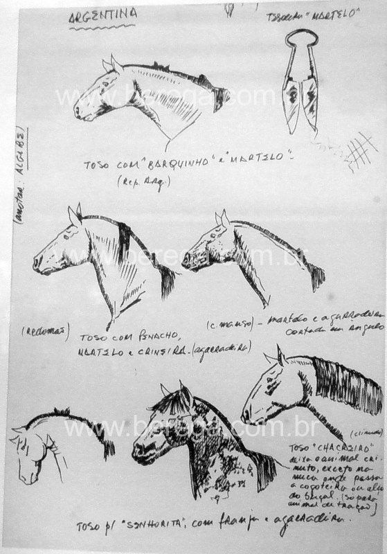 Desenho crioulo: cavalo crioulo para reboques